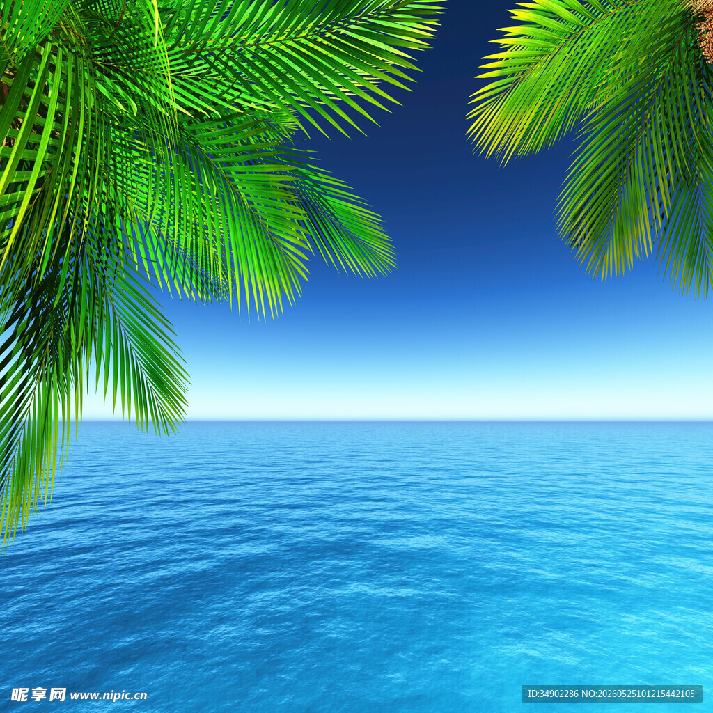 热带海景