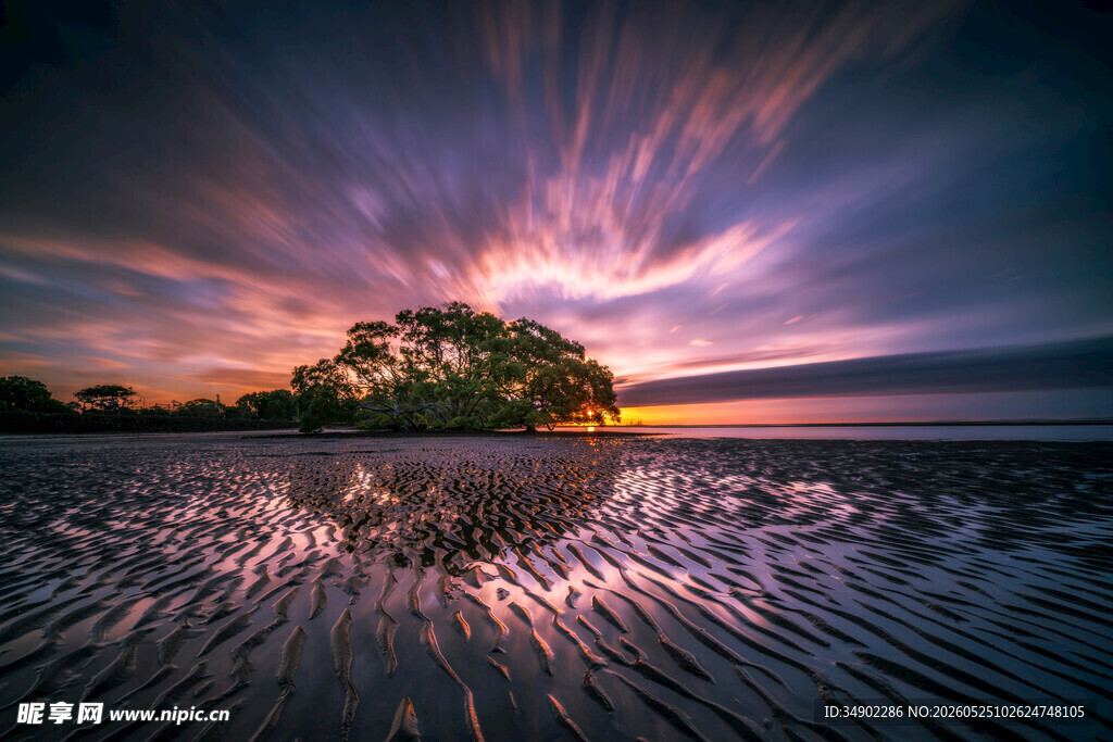 梦幻湿地日落美景