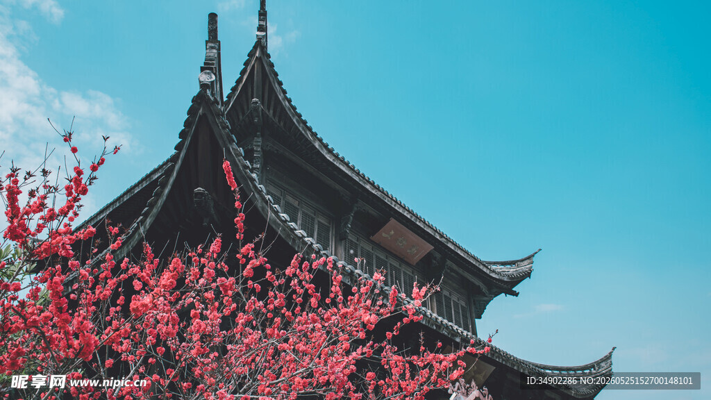 古建旁绽放的艳丽繁花