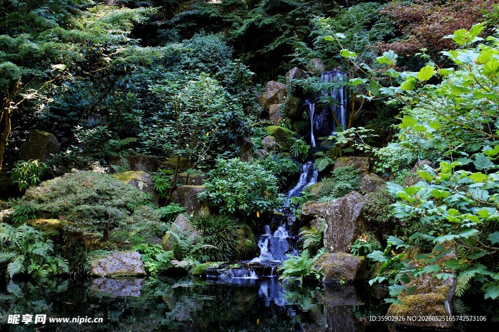 山间幽美瀑布绿植景观