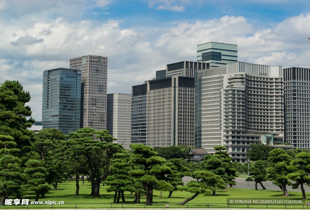 城市绿地旁的现代高楼群