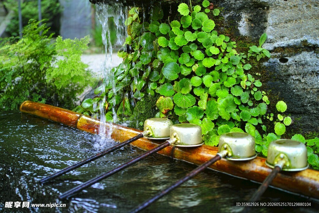 溪边绿植旁的烛光美景