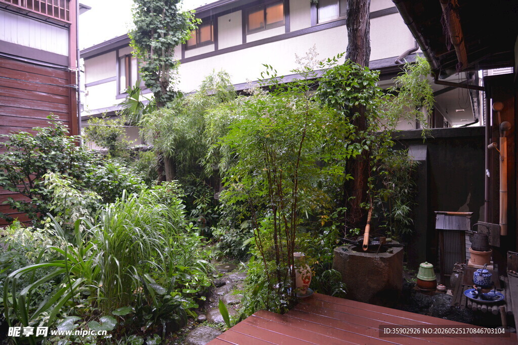 室内绿植环绕的幽静角落