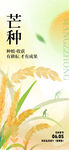 芒种海报