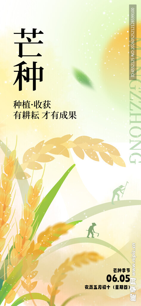 芒种海报