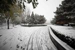 冬日雪后林间小道美景