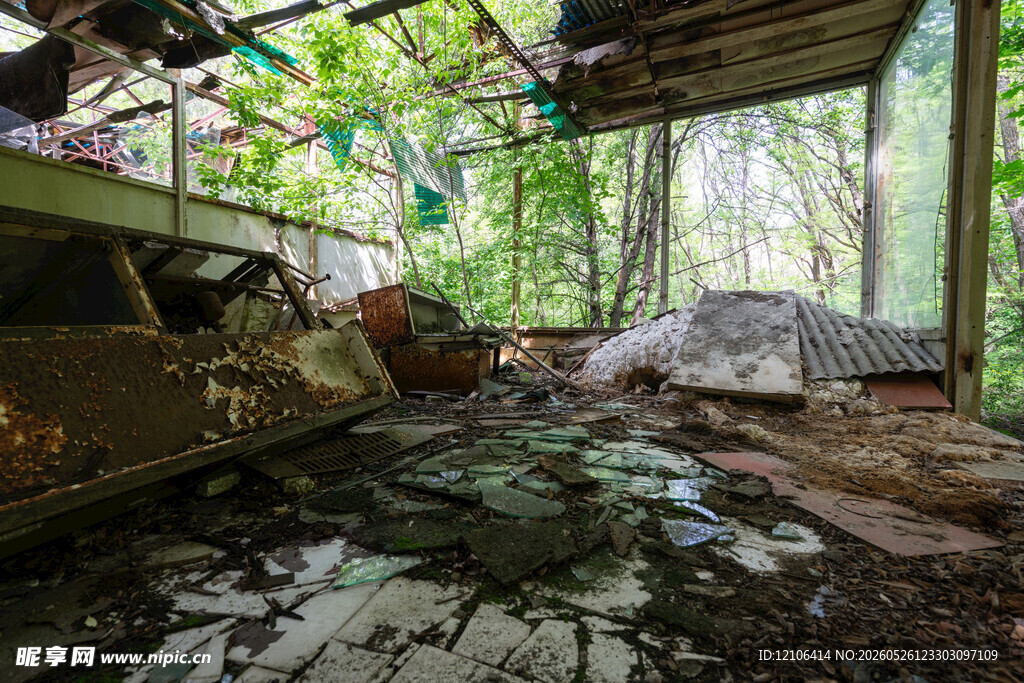 废弃林间小屋的破败景象