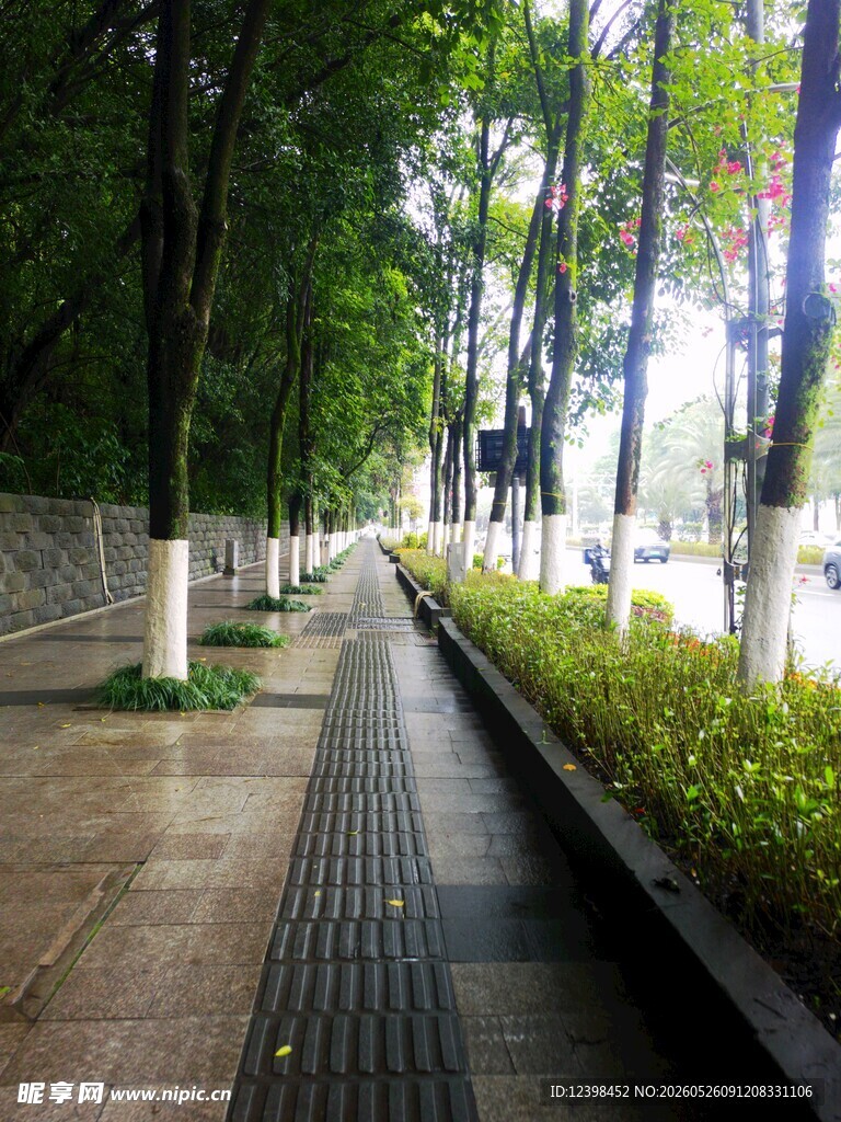 林荫下的整洁城市步道