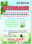 驱蚊  艾草  止痒  清新 