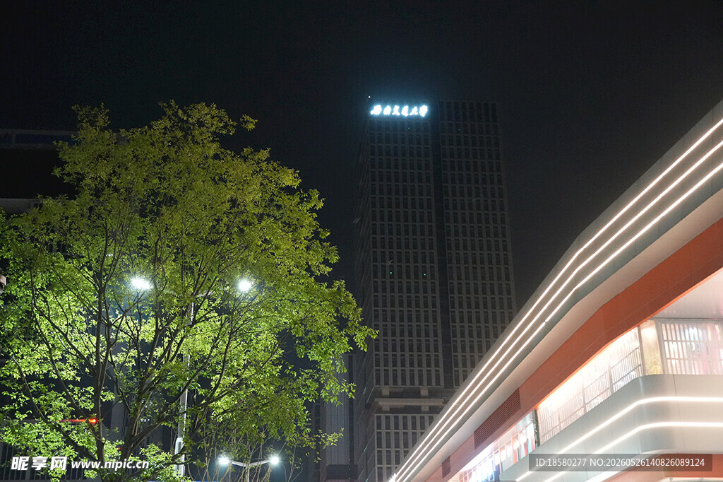城市夜景中的绿树与建筑