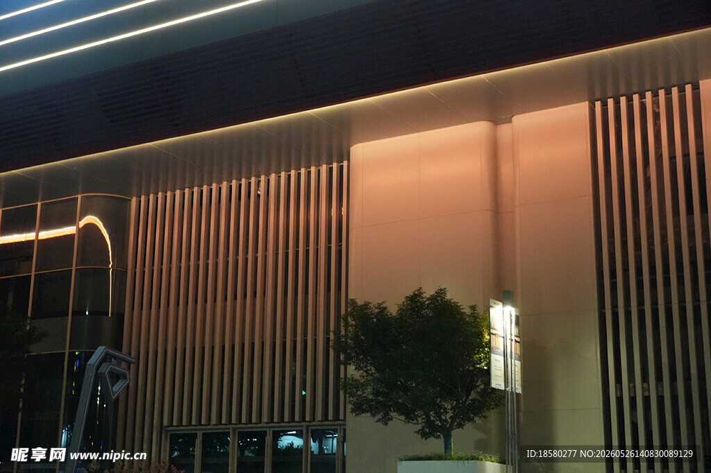 夜间建筑外观与绿植景观