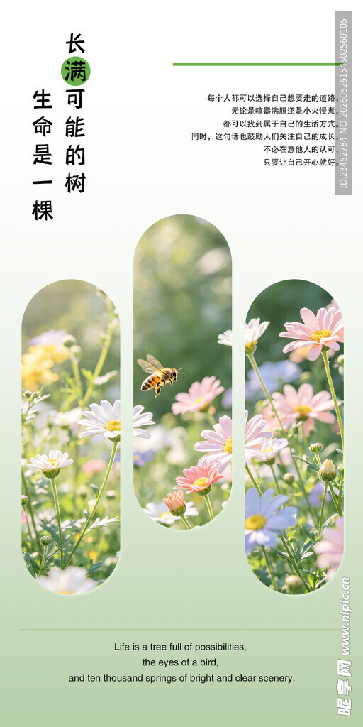 春日花卉景观展示图