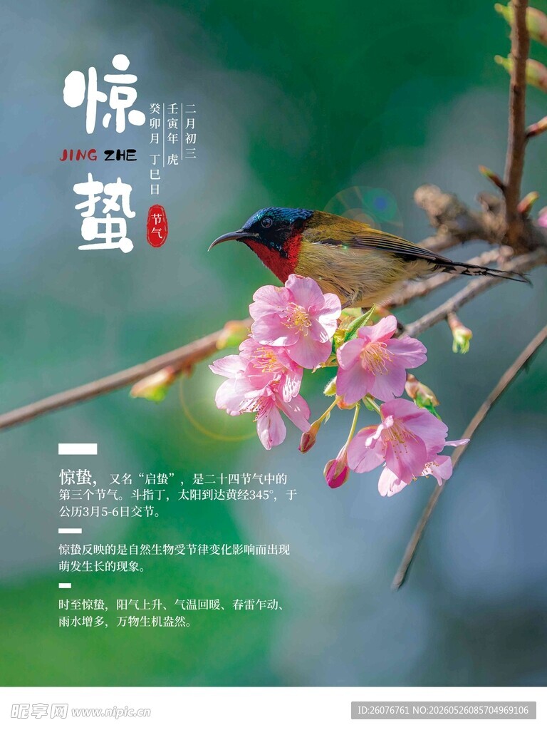惊蛰海报 
