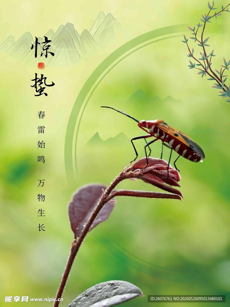 惊蛰海报 