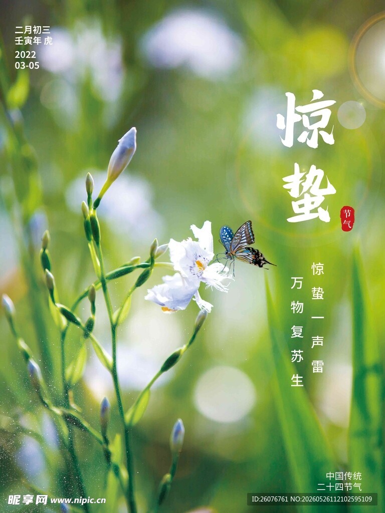 惊蛰海报 