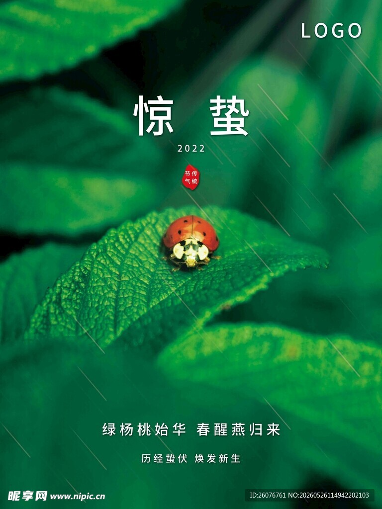 惊蛰海报 