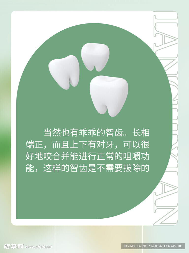 三颗牙齿图示及健康说明