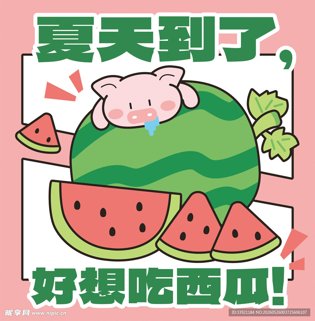 夏日萌猪馋西瓜