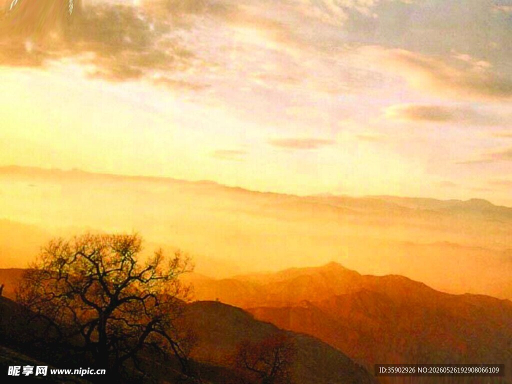 黄昏山峦间的孤树美景