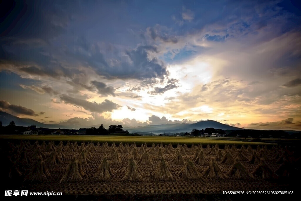 夕阳下的广袤田野美景