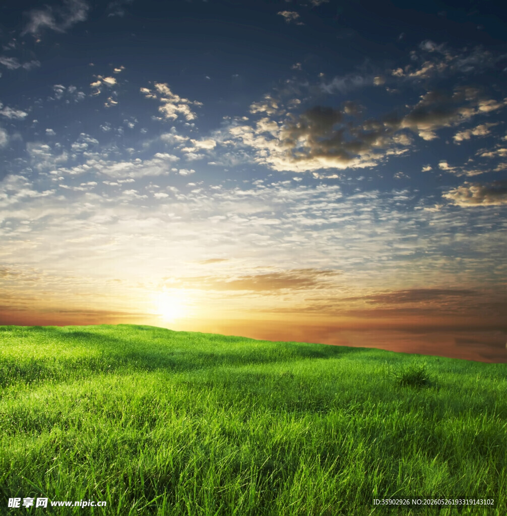 草原日出美景