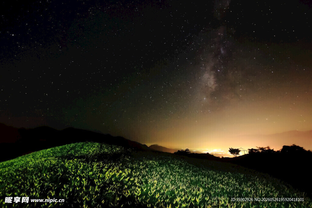 夜幕下的草地与璀璨星河