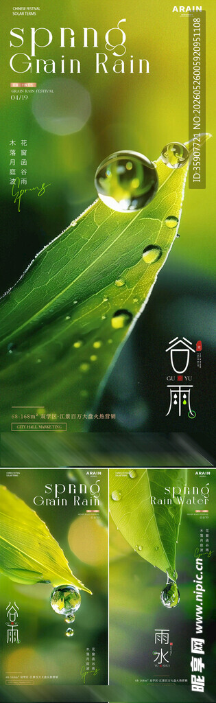 谷雨雨水树叶水滴海报