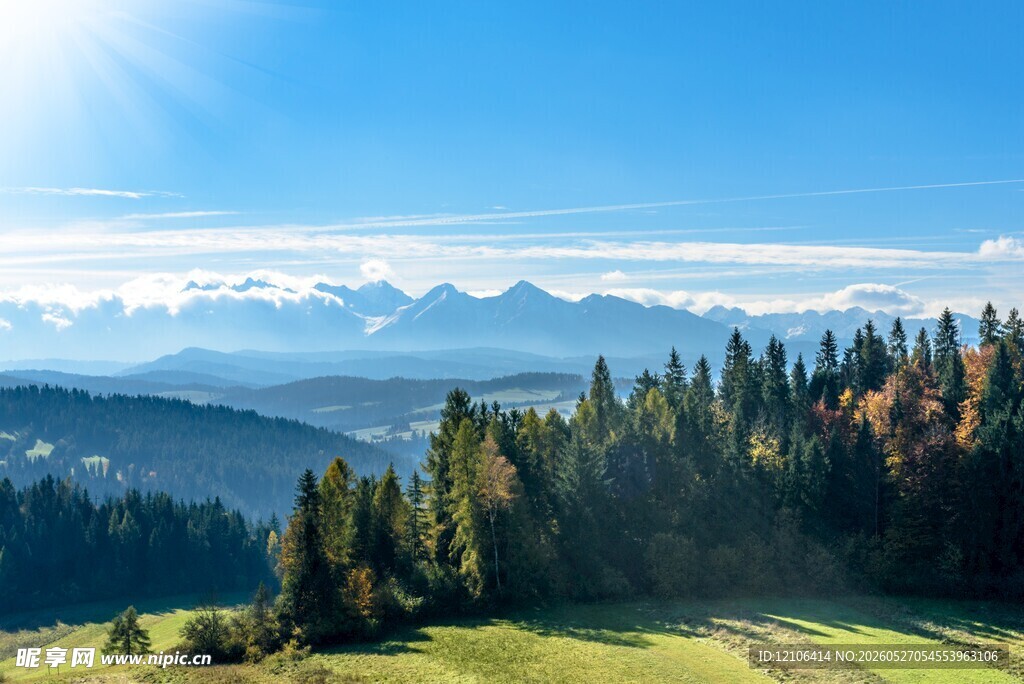 山间美景葱郁林木与远山