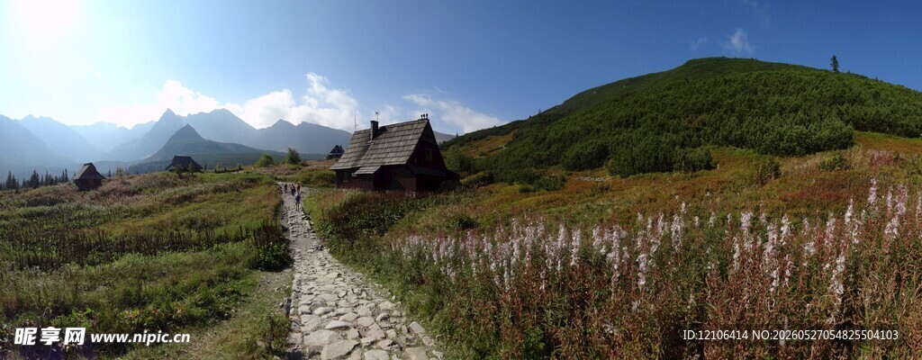 山间小径旁的葱郁草地