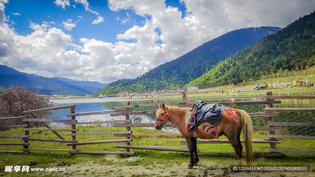 草原骏马湖山美景如画
