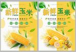 新鲜玉米