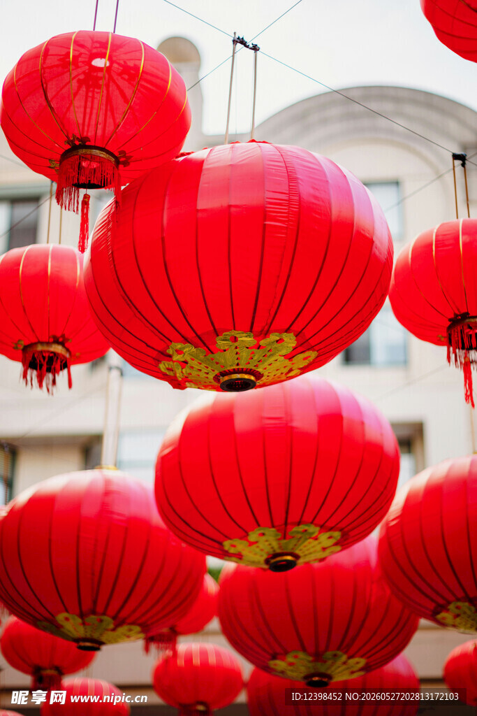 喜庆红灯笼装点城市景观