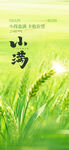 小满二十四节气