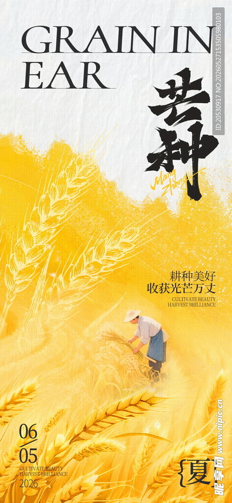 芒种二十四节气