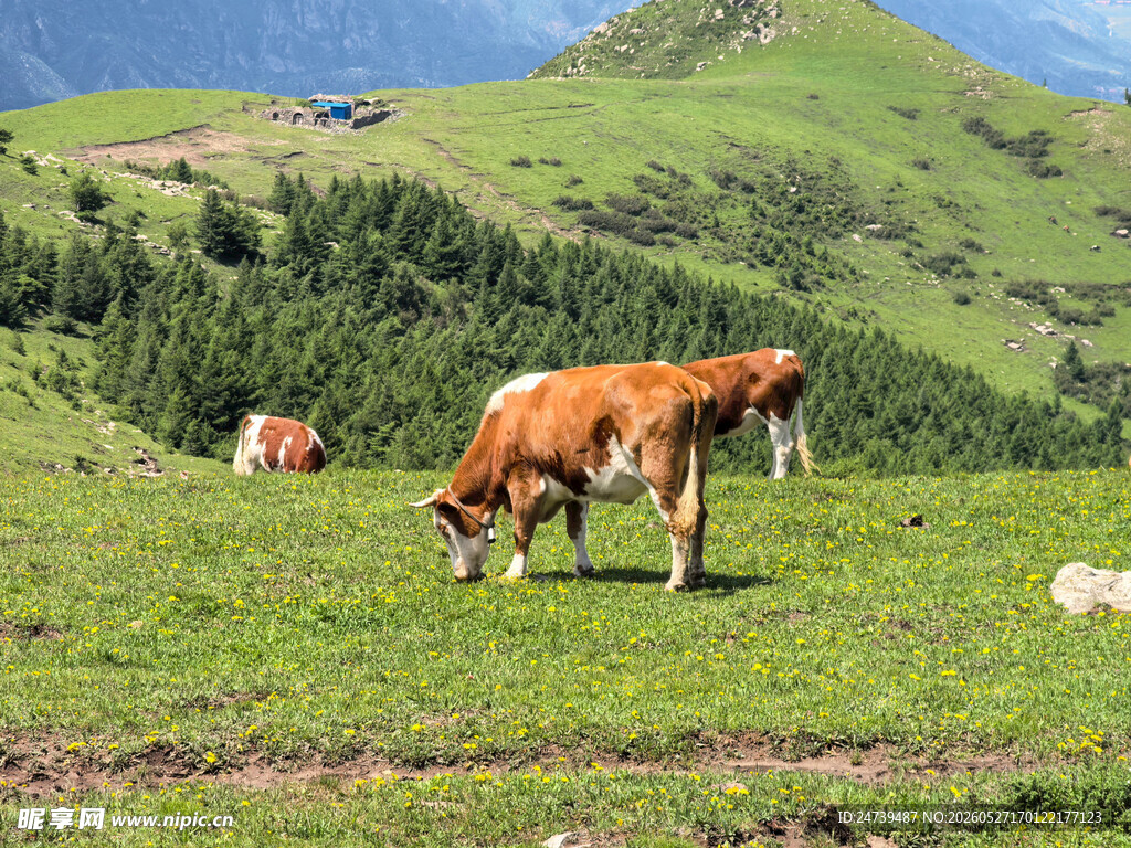 北京灵山徒步美景