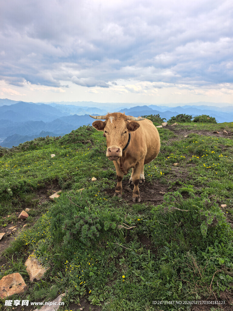 北京灵山徒步美景