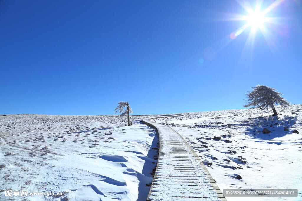 马仑草原 雪后小径