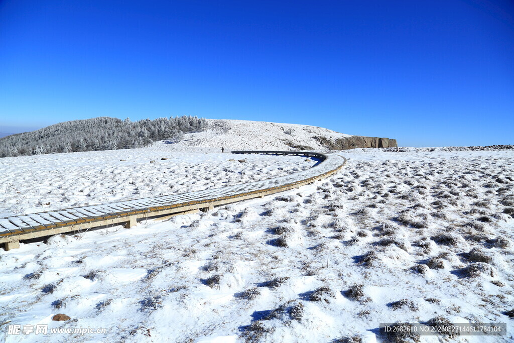 雪野中的蜿蜒木板路 马仑草原雪