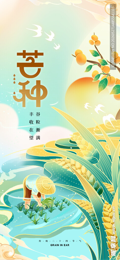 芒种