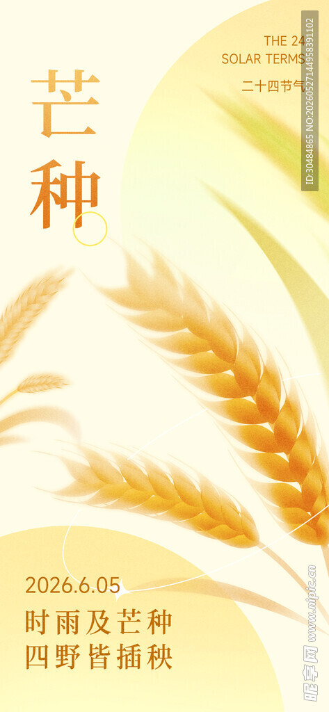 芒种海报