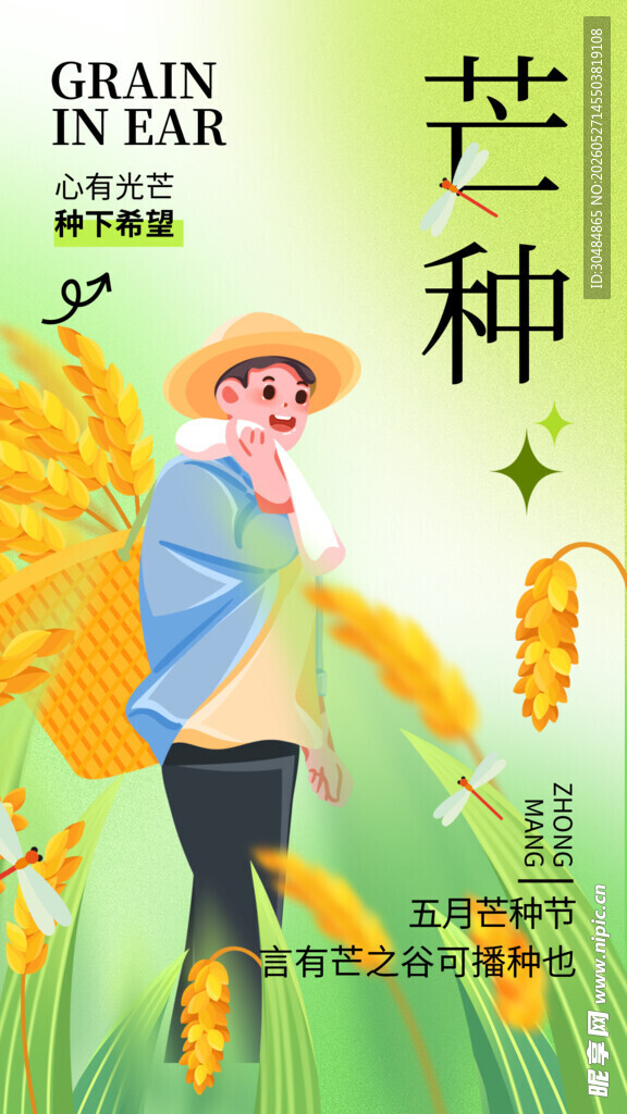 芒种