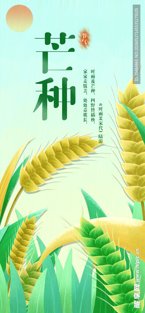 芒种