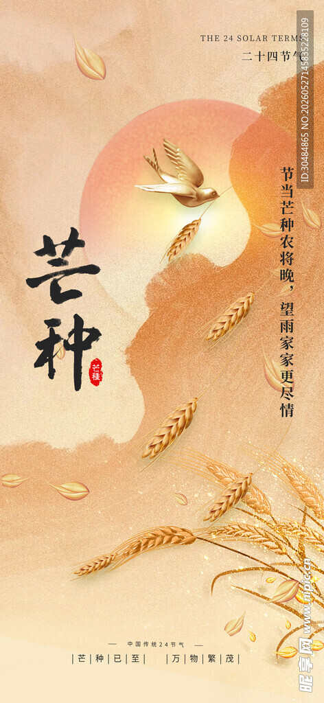 芒种海报