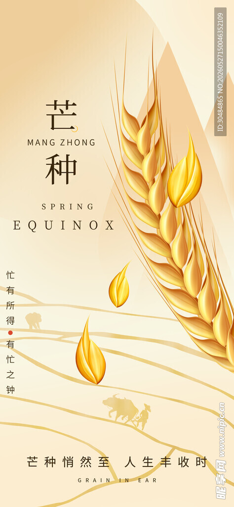 芒种促销海报