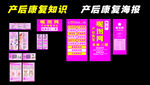 产后康复知识宣传海报