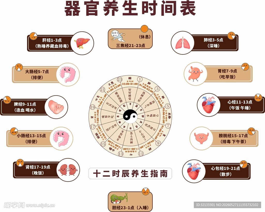 器官养生时间表图示