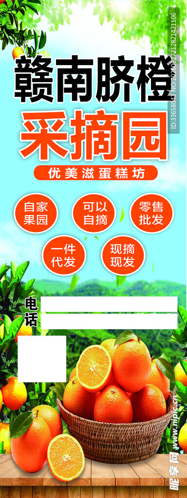 赣南脐橙采摘园新鲜水果