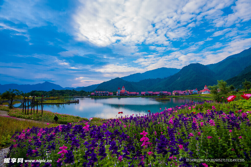 湖畔花海美景