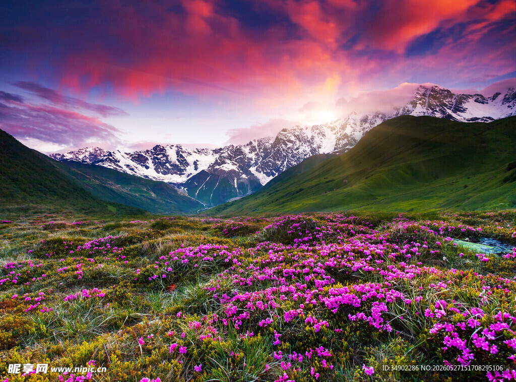 山间花海映绚丽霞光