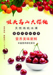樱桃彩页